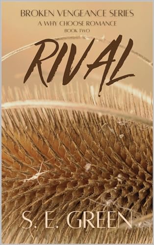 Rival (Broken Vengeance #2)