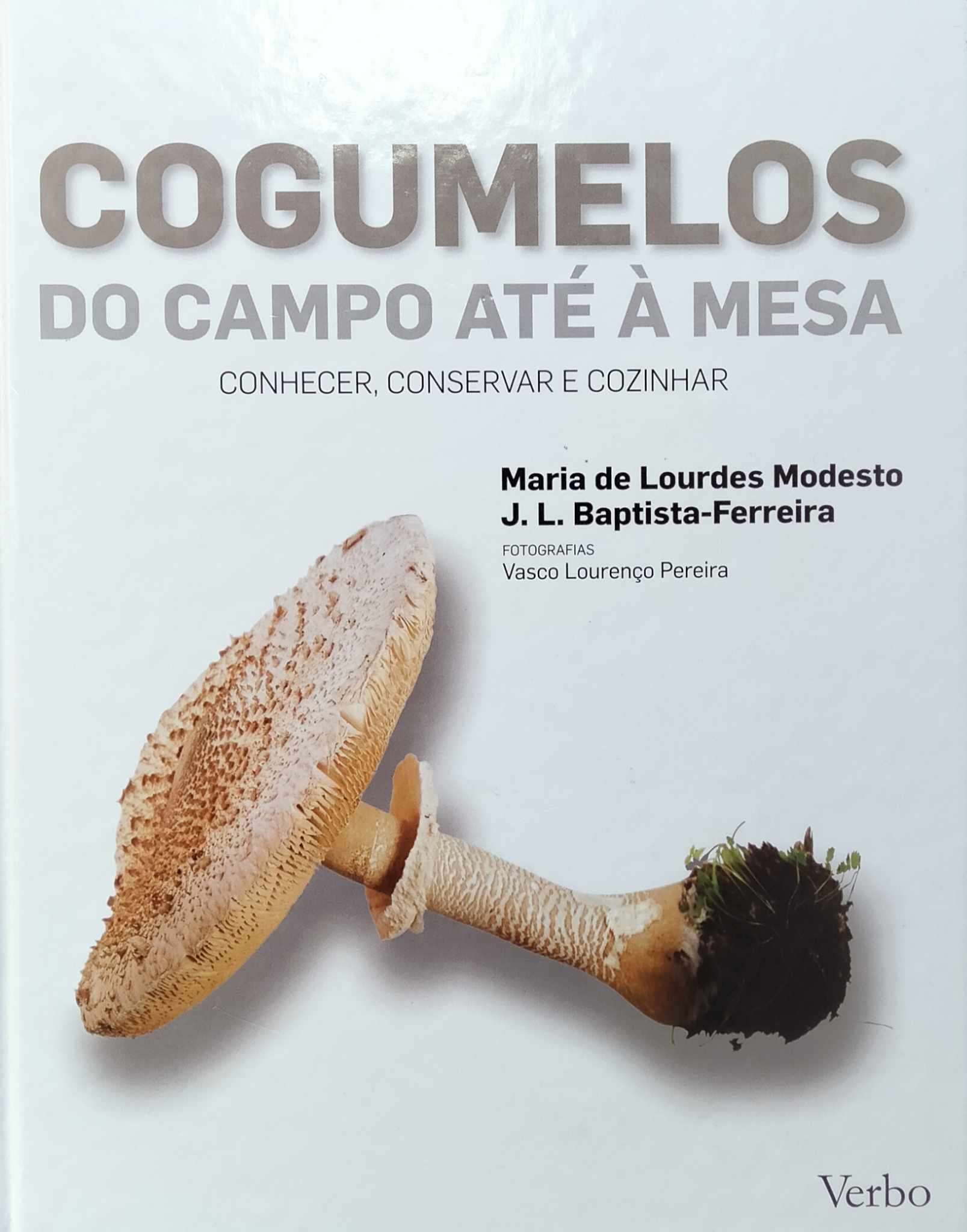 Cogumelos: Do Campo até à Mesa