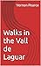 Walks in the Vall de Laguar