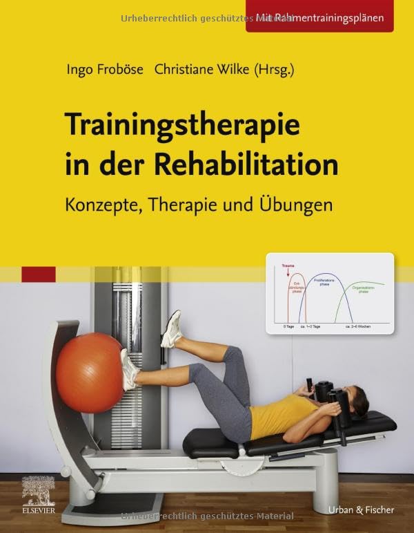 Trainingstherapie in der Rehabilitation: Konzepte, Therapie und Übungen (Paperback)