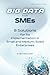 Big Data for SMEs: 8 Soluti...