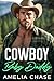 Cowboy Baby Daddy by Amelia Chase