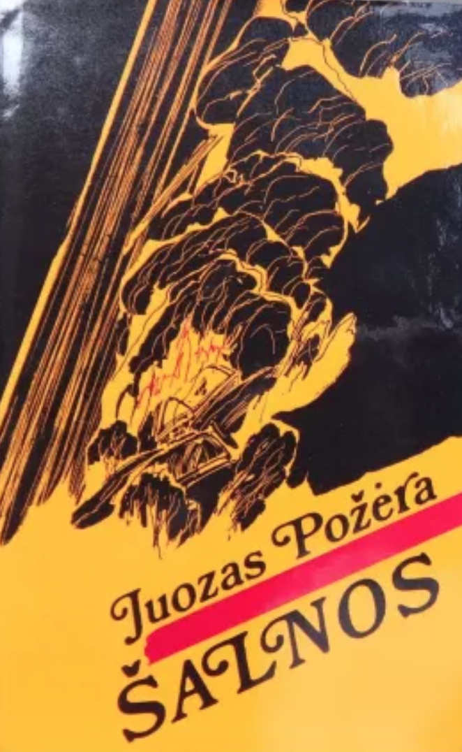 Šalnos (Hardcover)