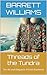 Threads of the Tundra: The Art and Elegance of Inuit Beadwork (Arctic Artistry: Crafting and Selling Inuit Treasures Book 3)