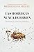 Las hormigas nunca duermen: Diario de un justiciero poliédrico (Spanish Edition)