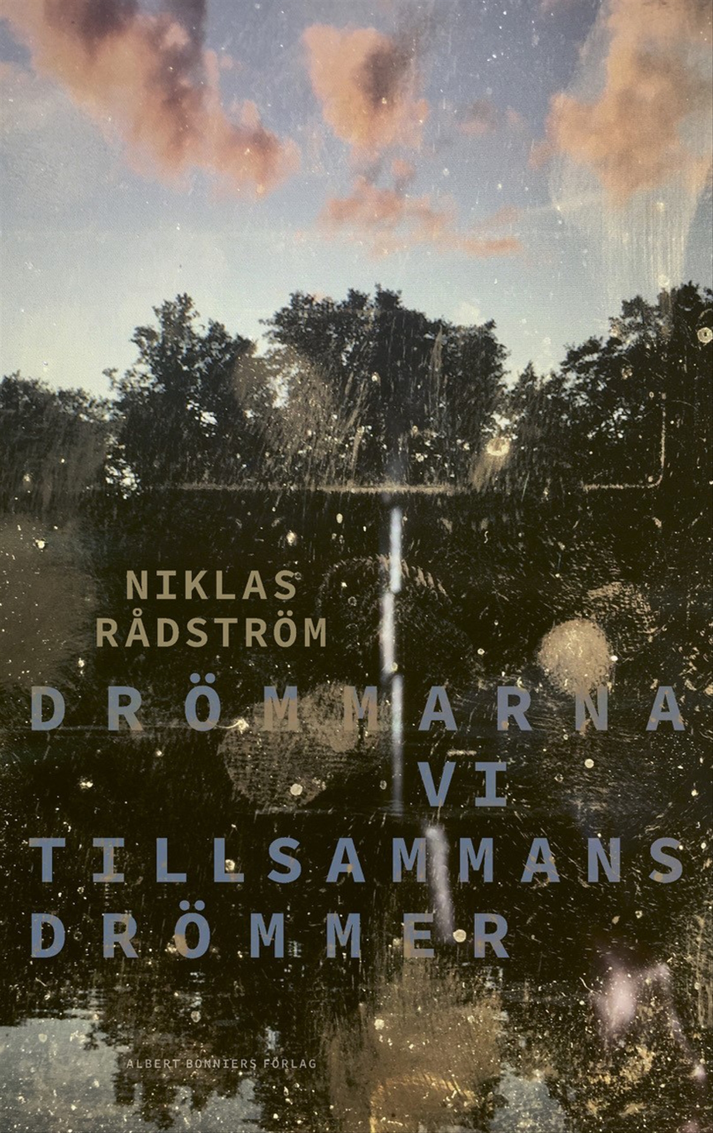 Drömmarna vi tillsammans drömmer (Hardcover)
