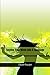 Turning Your Mess Into A Message by Danielle M Woolfolk