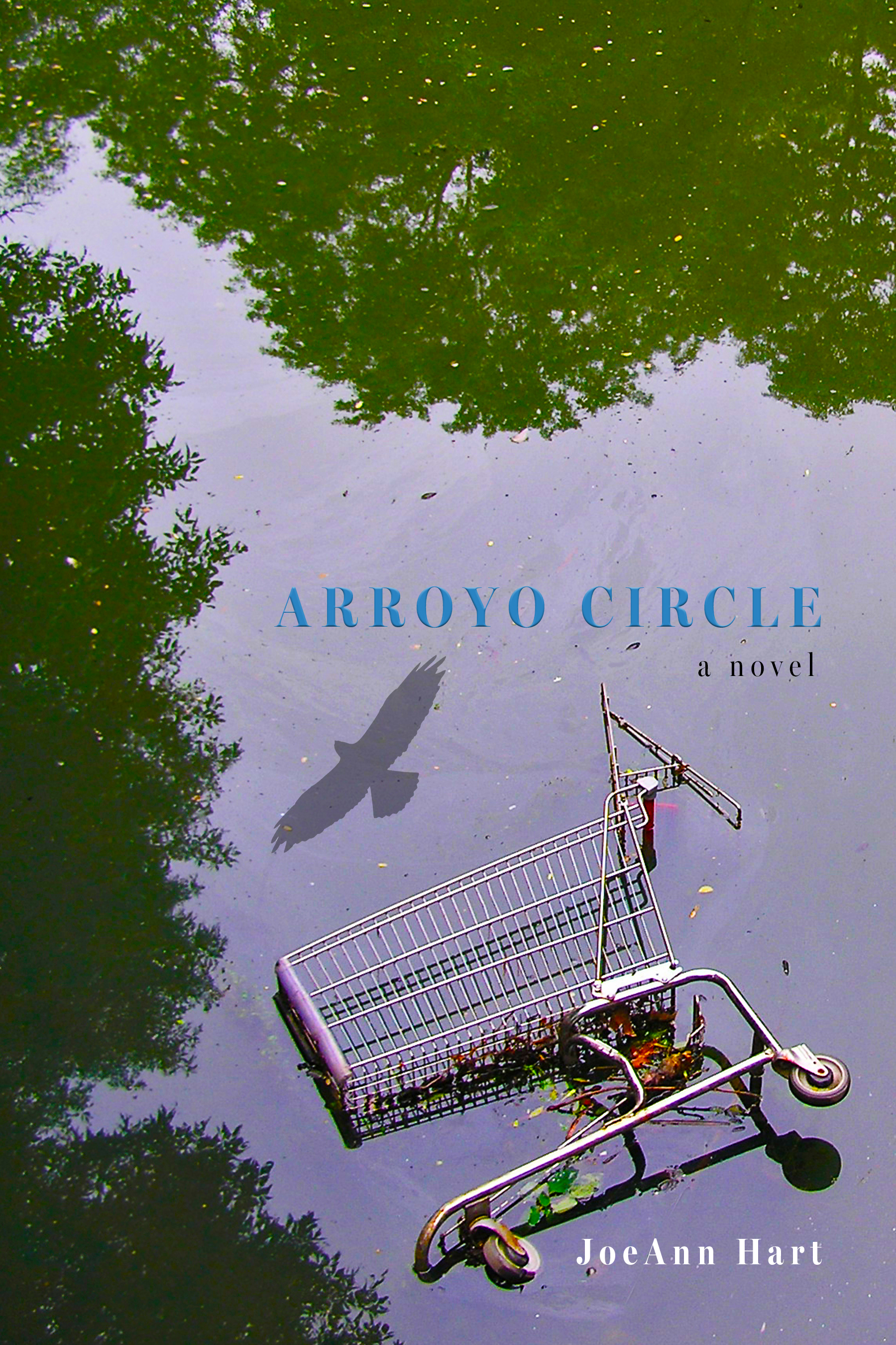 Arroyo Circle: A Novel (Paperback)