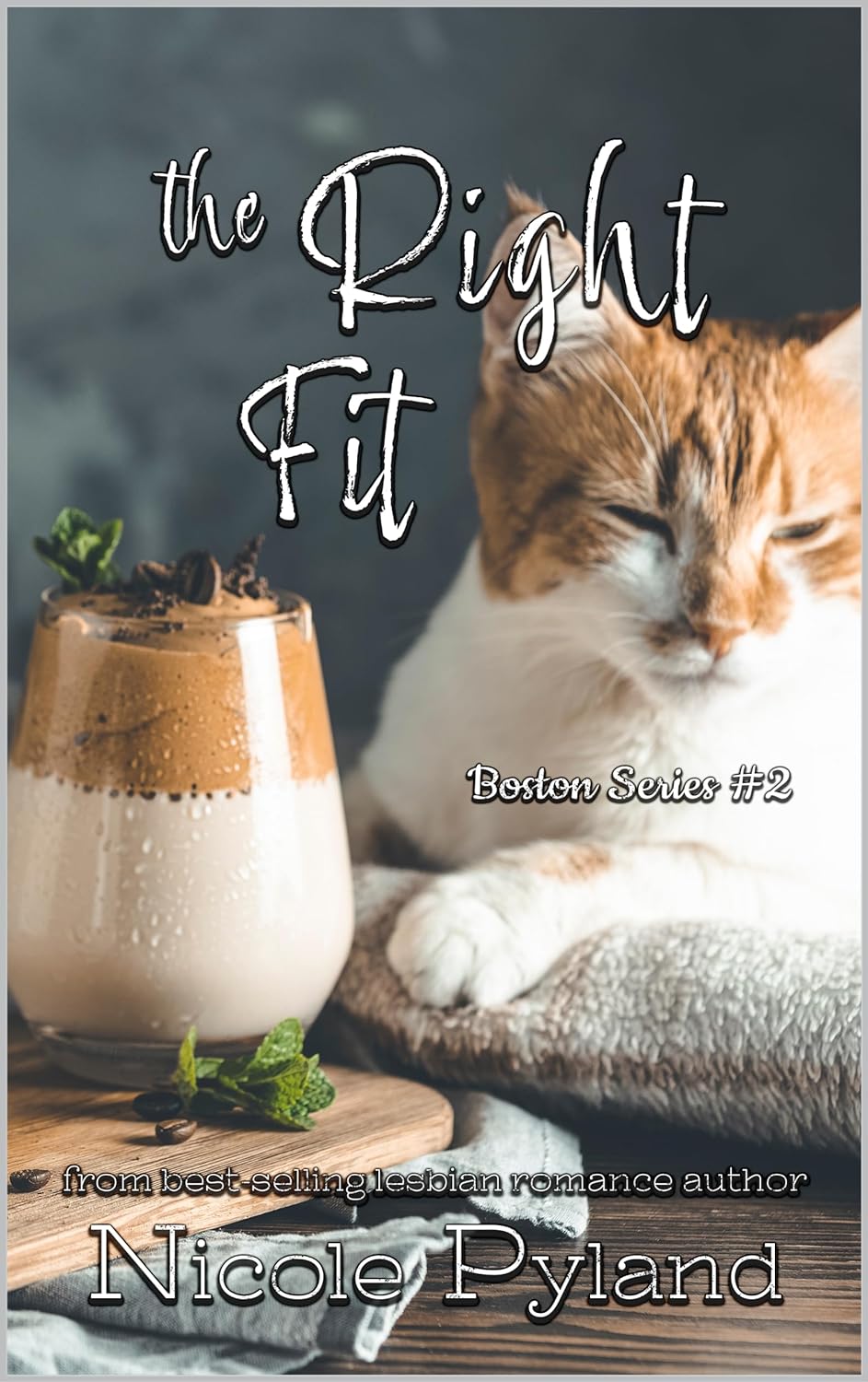 The Right Fit (Boston, #2)