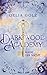 Darkwood Academy: Magie der Nacht (German Edition)
