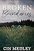Broken Boundaries by Cin Medley