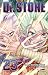 Dr. Stone, Vol. 23 (Dr. Stone, #23)