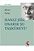 Hangi Şiir Onarır Şu Taşküreyi