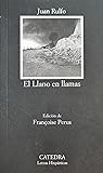 El llano en llamas