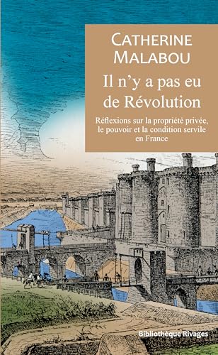 Il n'y a pas eu de Révolution: Réflexions anarchistes sur la propriété et la condition servile en France (French Edition)