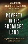 Book cover for Poverty in the Promised Land