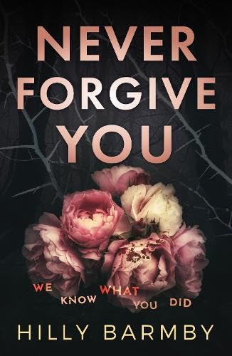 Never Forgive You (Paperback)