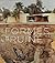 Formes de la ruine