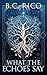 What The Echoes Say by B.C. Rico