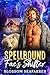 Spellbound Fae's Shifter