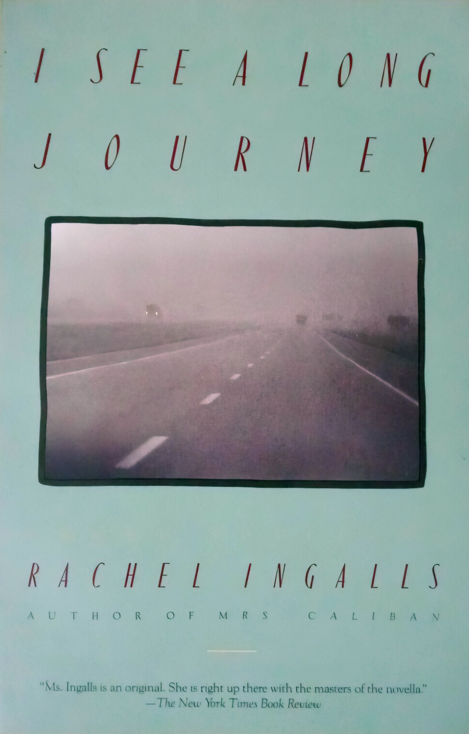 I See a Long Journey