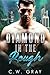 Diamond in the Rough by C.W. Gray Diamond in the Rough by C.W. Gray