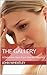 The Gallery: A Detective Nula Ryan Murder Mystery (Detective Nula Ryan Crime/Mystery Novels Book 1)