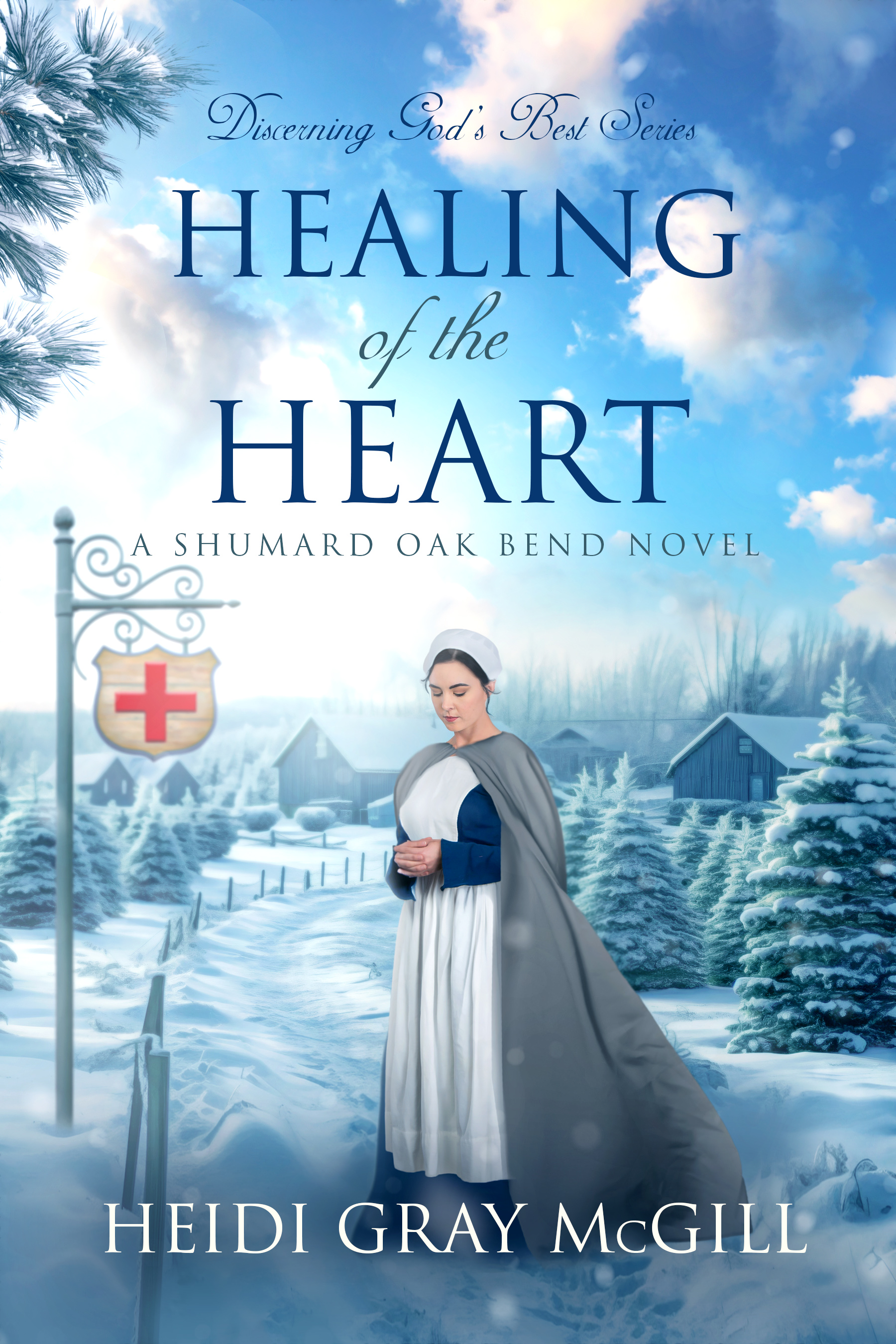 Healing of the Heart (Discerning God’s Best, #4)