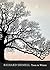 Trees in Winter