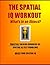 The Spatial IQ Workout by Mr IQ