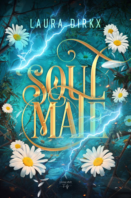 Soulmate (Paperback)