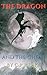 The Dragon and the Ghost (The Adventures of the Dragon and the Ghost Book 1)