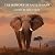 The Memory of an Elephant