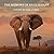 The Memory of an Elephant