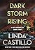 Dark Storm Rising (Kate Bur...
