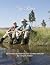 The River: 30 Articles to A...