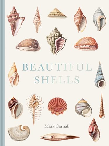 Beautiful Shells: George Perry's Conchology (Hardcover)