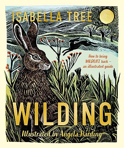 Wilding: How to Bring Wildlife Back - An Illustrated Guide (Hardcover)