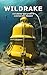 Wildrake: Disturbing True Story of a Diving Bell Tragedy