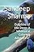 Dolphins of the Deep by Sandeep  Sharma