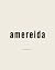 Amereida: volumen primero