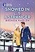 Snowed In with a Stranger (Match Made in Haven #16)