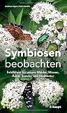 Symbiosen beobachten Symbiosen beobachten
