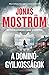 A dominógyilkosságok (Nathalie Svensson, #2)