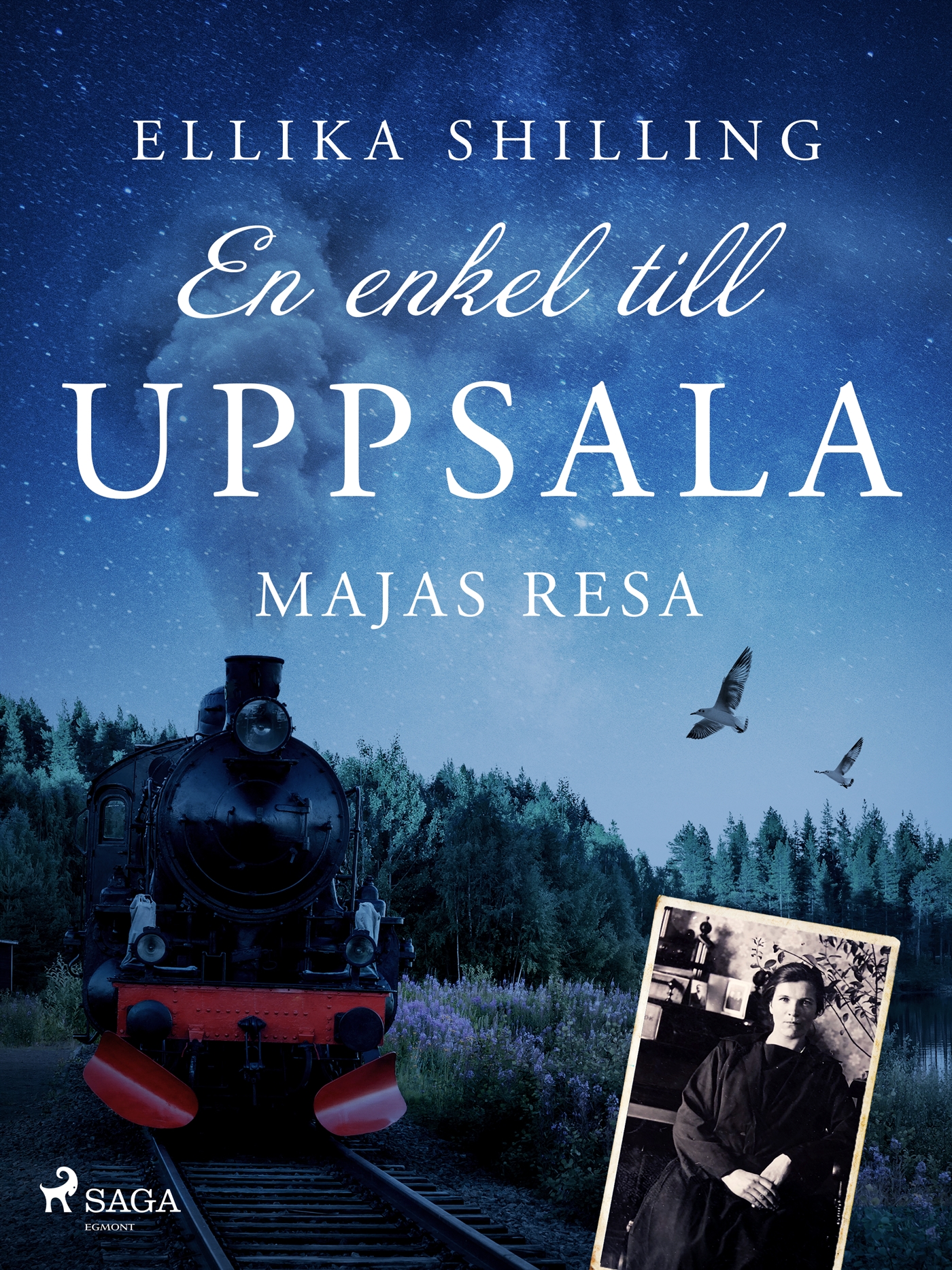 En enkel till Uppsala: Majas resa (Kindle Edition)