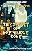 The Secret of Poppyridge Cove: Seaside Inn Mystery, book 1 (Poppyridge Cove Cozy Mysteries)