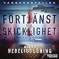 Förtjänst och skicklighet