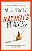 Maxwell's Flame (Peter Maxwell Mystery #2)