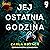 Jej ostatnia godzina (Detective Gina Harte, #2)