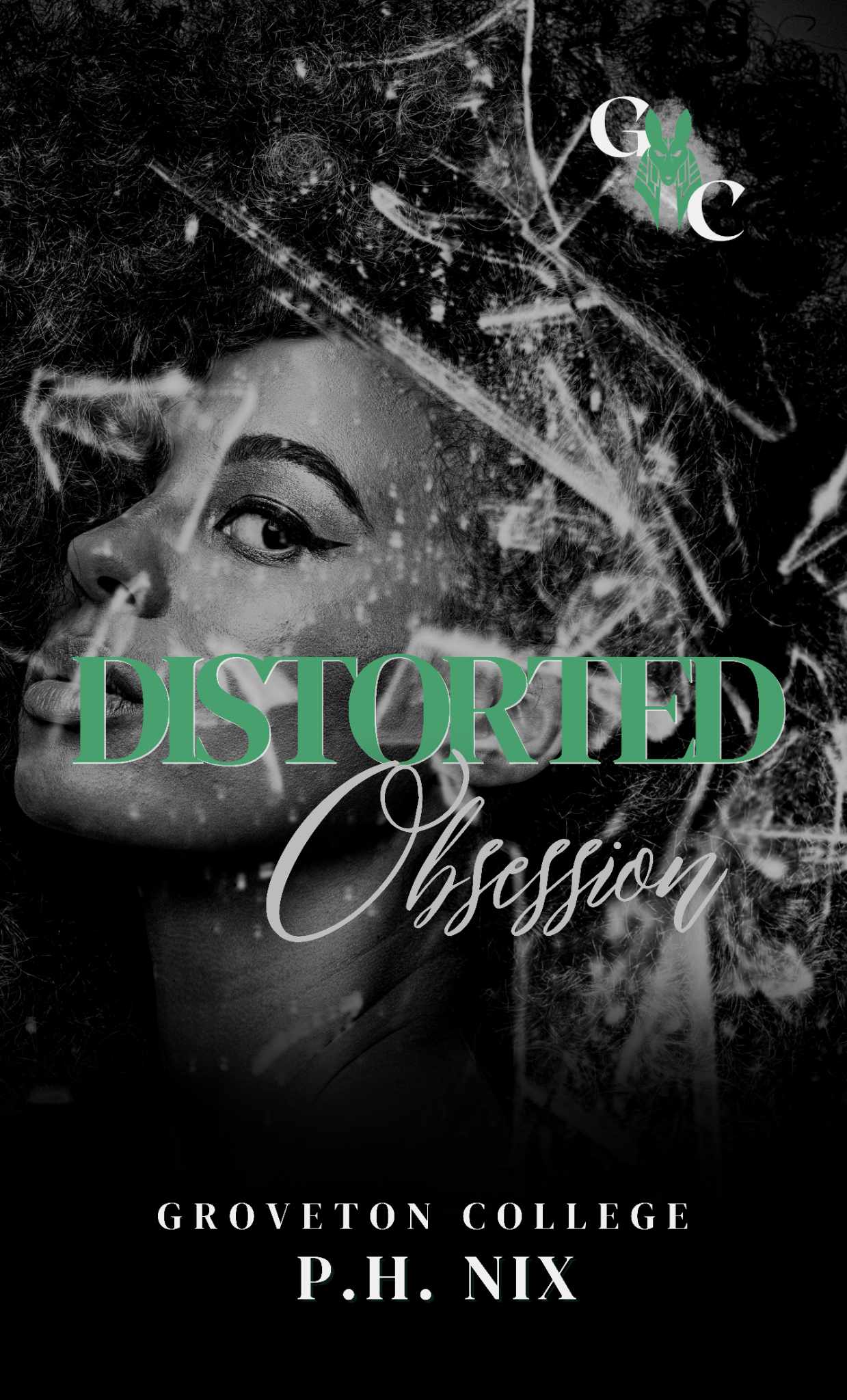 Distorted Obsession (Kindle Edition)
